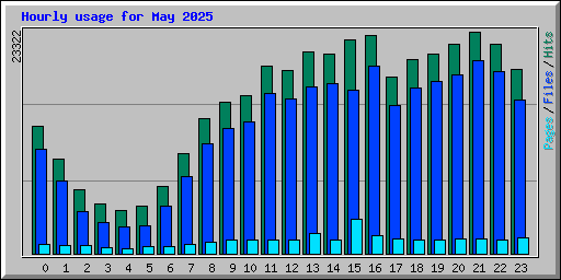 Hourly usage for May 2025