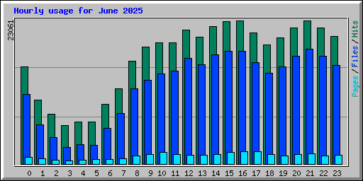 Hourly usage for June 2025