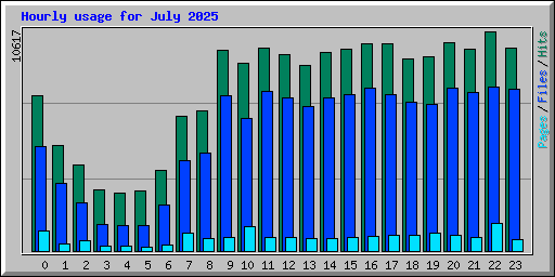 Hourly usage for July 2025