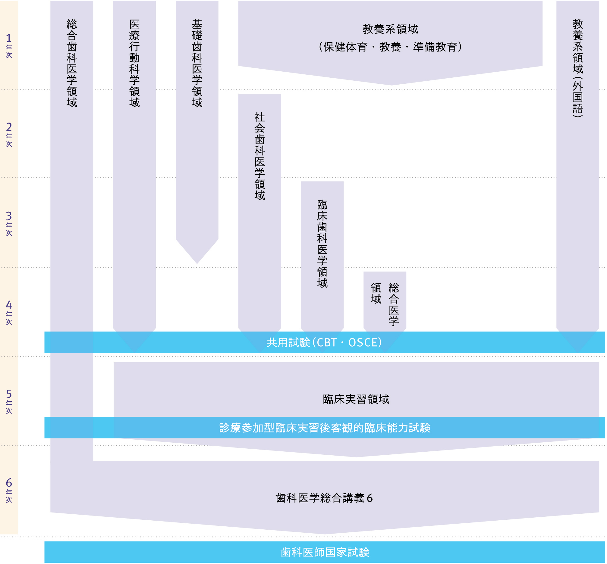 日本大学歯学部