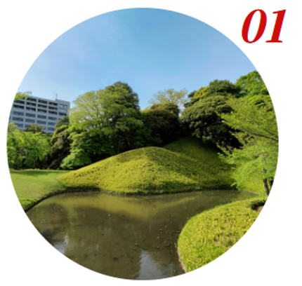 日本大学歯学部