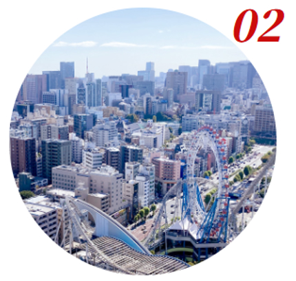 日本大学歯学部